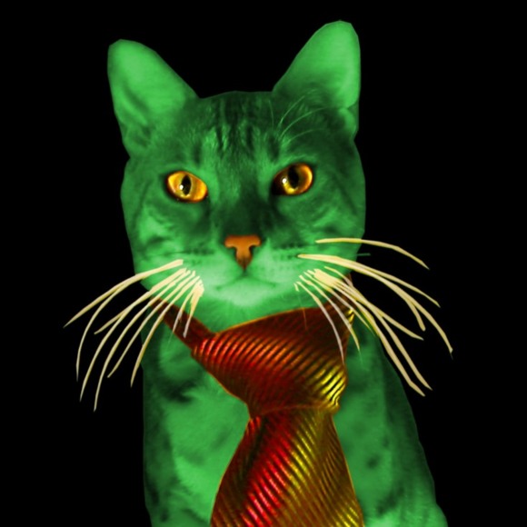 rompcat